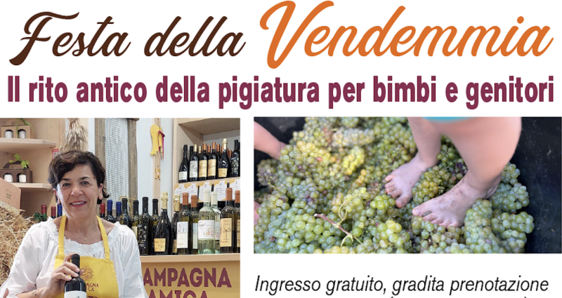 Festa della Vendemmia